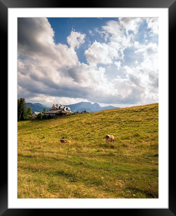 Wide angle view of green grass meadow countryside field with A shaped house and cows against sleeping knight tatra mountain aka as giewont and dramatic clouds located in Zakopane, South Poland, Europe Framed Mounted Print by Arpan Bhatia