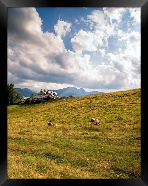 Wide angle view of green grass meadow countryside field with A shaped house and cows against sleeping knight tatra mountain aka as giewont and dramatic clouds located in Zakopane, South Poland, Europe Framed Print by Arpan Bhatia