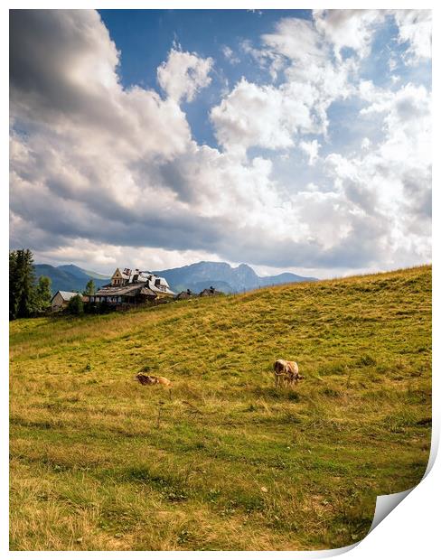 Wide angle view of green grass meadow countryside field with A shaped house and cows against sleeping knight tatra mountain aka as giewont and dramatic clouds located in Zakopane, South Poland, Europe Print by Arpan Bhatia
