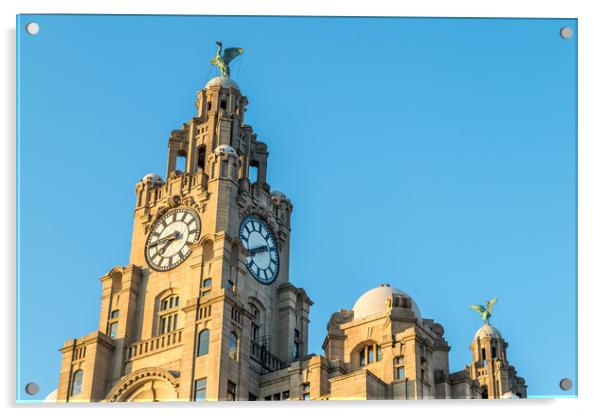 Liver Birds above Liverpool Acrylic by Jason Wells
