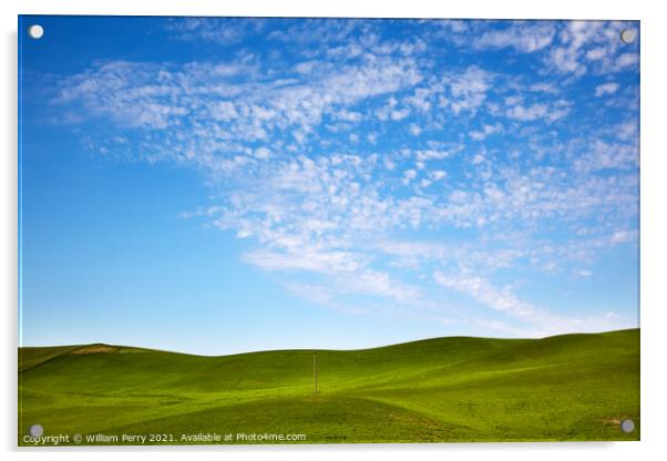 Green Wheat Grass Blue Skies Telephone Pole Palouse Washington  Acrylic by William Perry