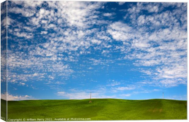 Green Wheat Grass Blue Skies Palouse Washington State Canvas Print by William Perry