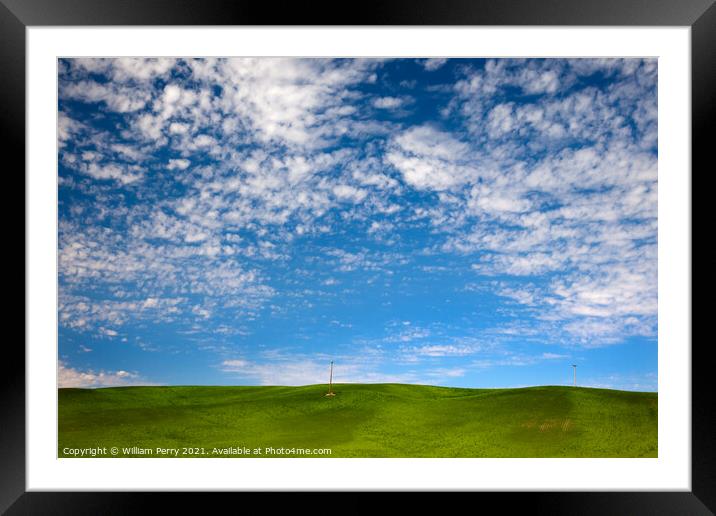 Green Wheat Grass Blue Skies Palouse Washington State Framed Mounted Print by William Perry