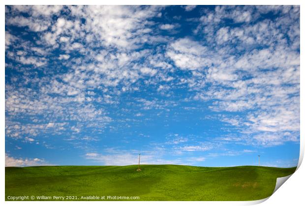 Green Wheat Grass Blue Skies Palouse Washington State Print by William Perry