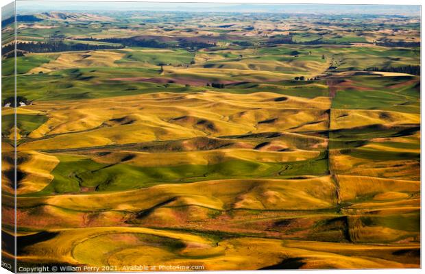 Green Yellow Wheat Grass Farms Palouse Washington State Canvas Print by William Perry