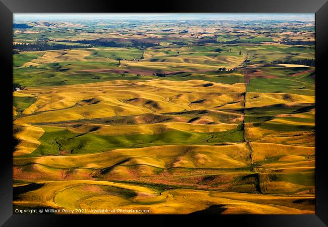 Green Yellow Wheat Grass Farms Palouse Washington State Framed Print by William Perry