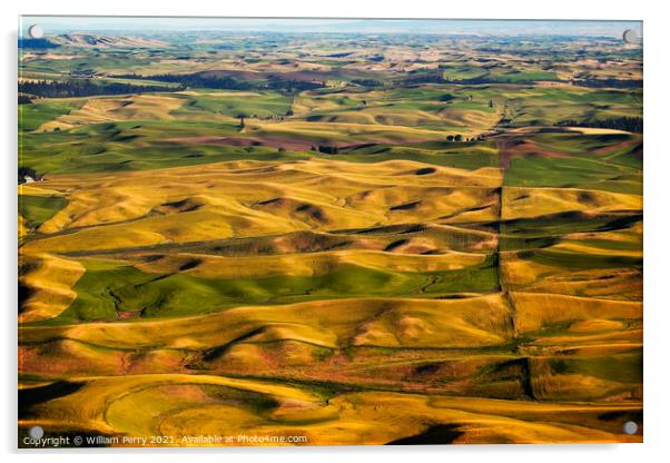 Green Yellow Wheat Grass Farms Palouse Washington State Acrylic by William Perry