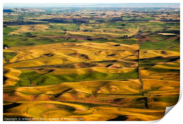 Green Yellow Wheat Grass Farms Palouse Washington State Print by William Perry