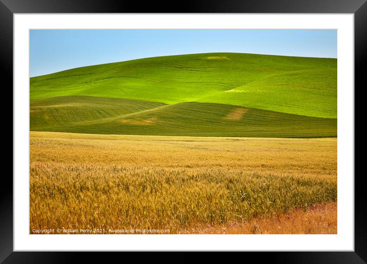 Ripe Yellow Green Wheat Fields Palouse Washington State Framed Mounted Print by William Perry