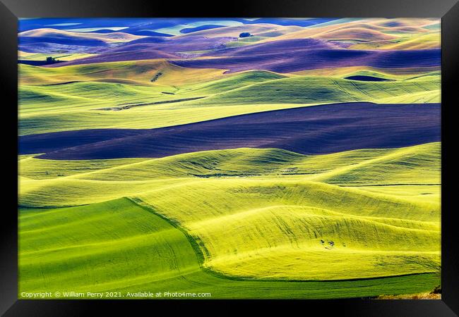 Green Wheat Fields Black Fallow Land Patterns and Farms Palouse  Framed Print by William Perry