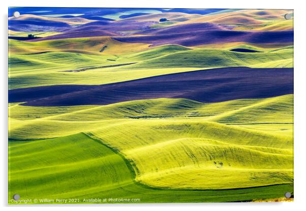 Green Wheat Fields Black Fallow Land Patterns and Farms Palouse  Acrylic by William Perry