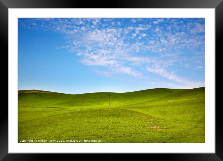 Green Wheat Grass Blue Skies Telephone Pole Palouse Washington  Framed Mounted Print by William Perry