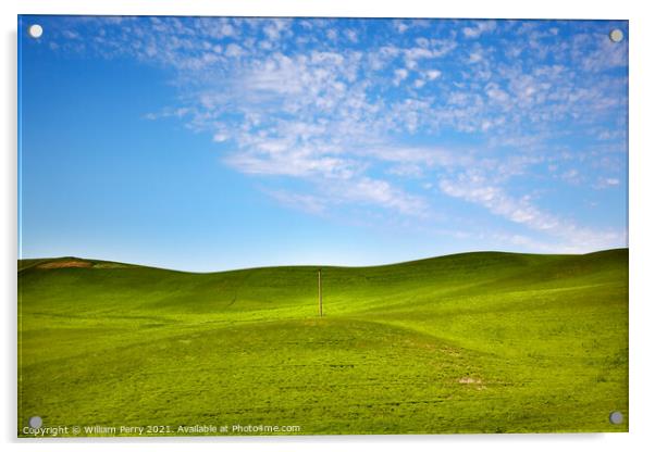 Green Wheat Grass Blue Skies Telephone Pole Palouse Washington  Acrylic by William Perry