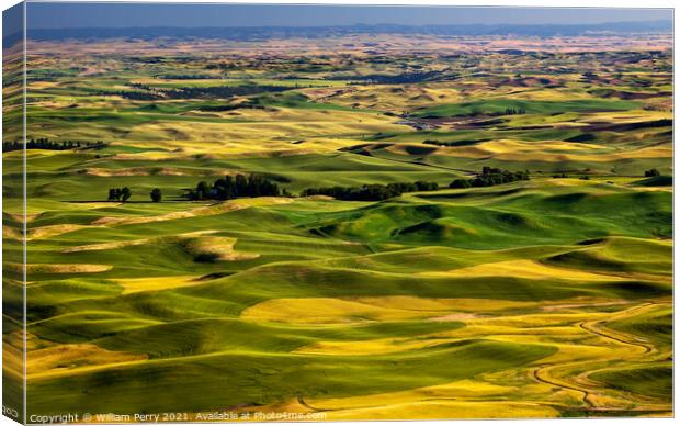 Yellow Green Wheat Fields and Farms from Steptoe Butte Palouse W Canvas Print by William Perry