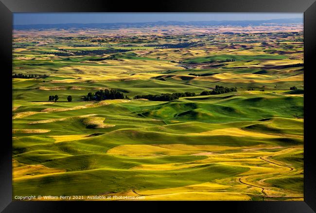Yellow Green Wheat Fields and Farms from Steptoe Butte Palouse W Framed Print by William Perry