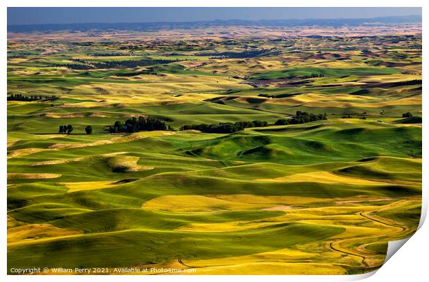 Yellow Green Wheat Fields and Farms from Steptoe Butte Palouse W Print by William Perry