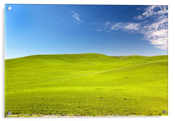 Green Wheat Grass Blue Skies Palouse Washington State Acrylic by William Perry