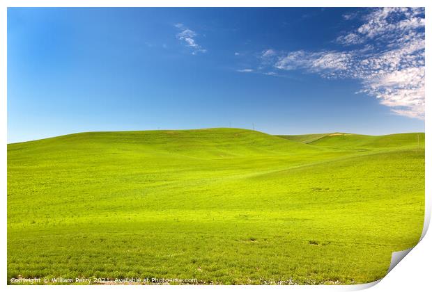 Green Wheat Grass Blue Skies Palouse Washington State Print by William Perry