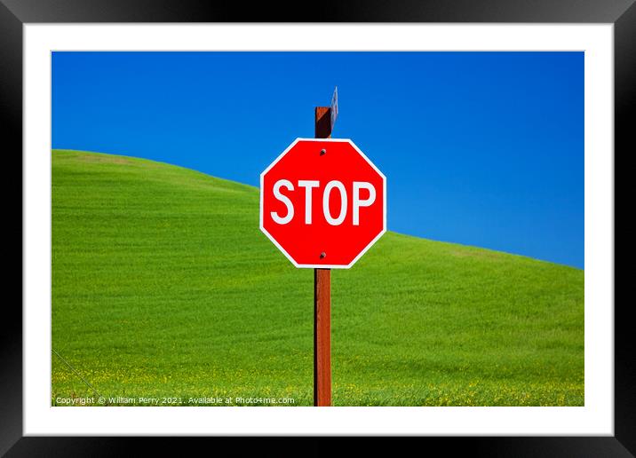 Red Stop Sign Green Wheat Grass Blue Skies Palouse Washington Framed Mounted Print by William Perry