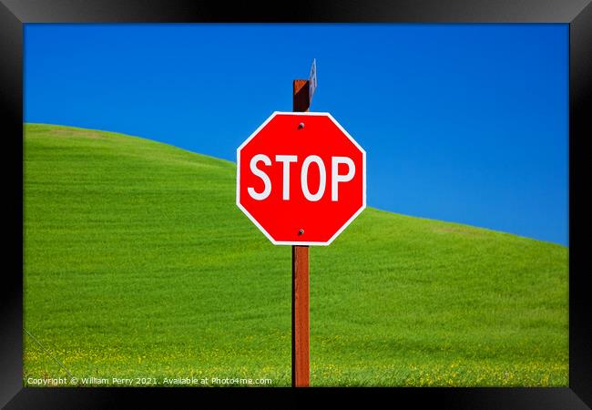 Red Stop Sign Green Wheat Grass Blue Skies Palouse Washington Framed Print by William Perry