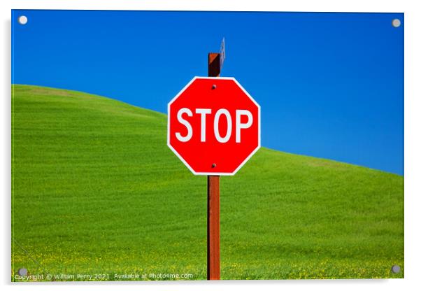 Red Stop Sign Green Wheat Grass Blue Skies Palouse Washington Acrylic by William Perry