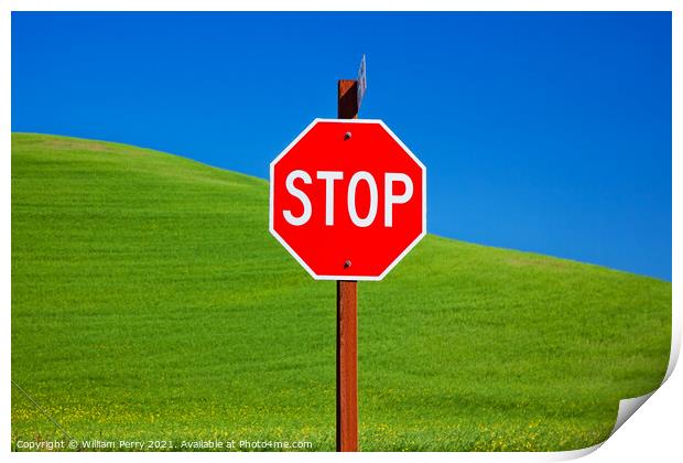Red Stop Sign Green Wheat Grass Blue Skies Palouse Washington Print by William Perry