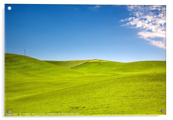 Telphone Poles Green Wheat Grass Blue Skies Palouse Washington Acrylic by William Perry