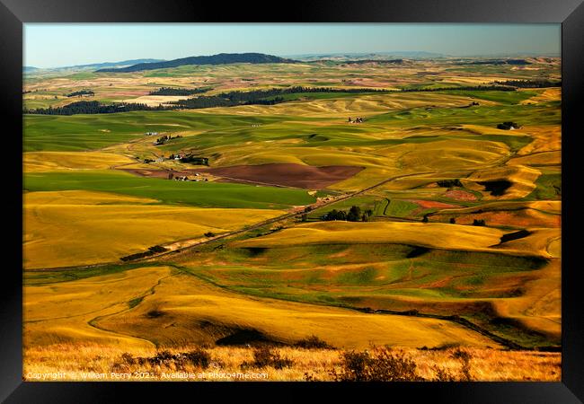 Red Farms Yellow Green Wheat Fields and Farms Palouse Washington Framed Print by William Perry