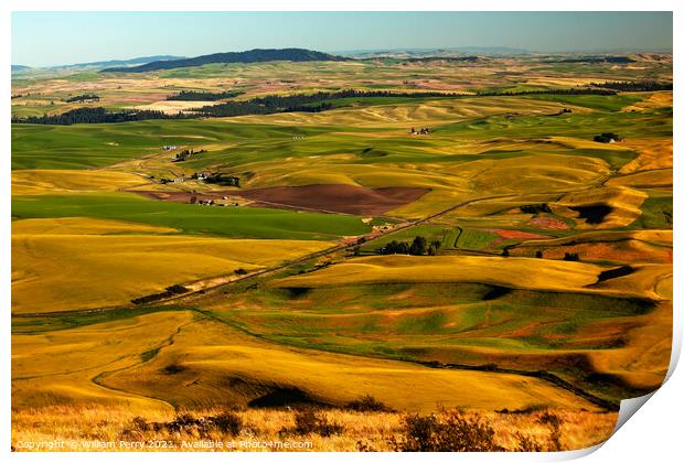 Red Farms Yellow Green Wheat Fields and Farms Palouse Washington Print by William Perry