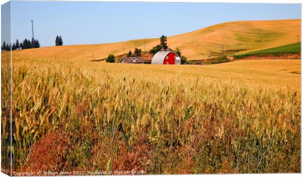 Red Barn in Ripe Wheat Field Palouse Washington State Canvas Print by William Perry