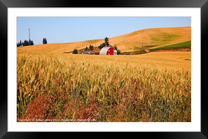 Red Barn in Ripe Wheat Field Palouse Washington State Framed Mounted Print by William Perry