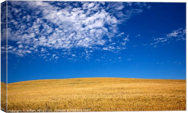 Ripe Wheat Field Palouse Washington State Canvas Print by William Perry