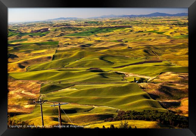 Green Wheat Grass Palouse Washington State Framed Print by William Perry