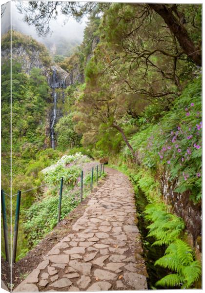 Lavada Walking in Madeira Canvas Print by Roger Green