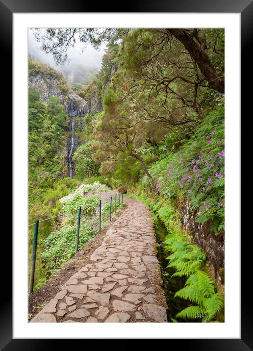 Lavada Walking in Madeira Framed Mounted Print by Roger Green