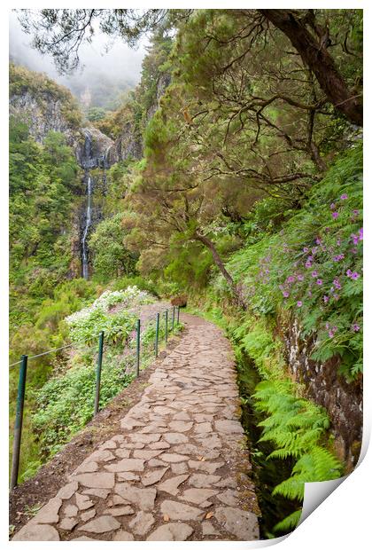 Lavada Walking in Madeira Print by Roger Green