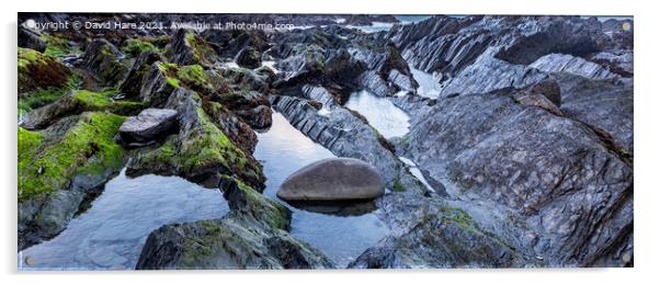 Ilfracombe Rock Pools Acrylic by David Hare