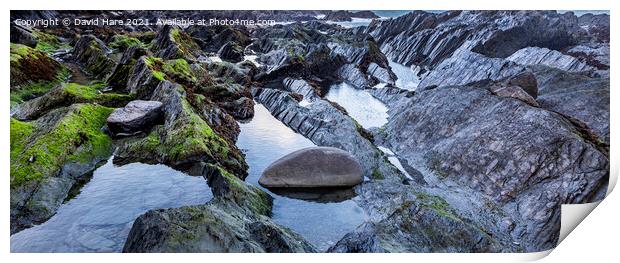 Ilfracombe Rock Pools Print by David Hare