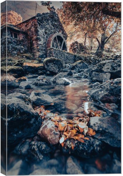 Leaves in the river Canvas Print by Jonny Gios