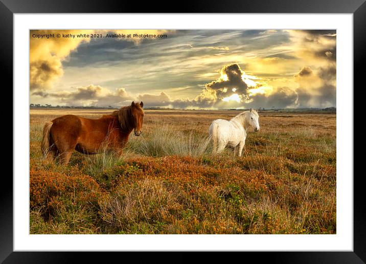 sunset,grazing ponies Framed Mounted Print by kathy white