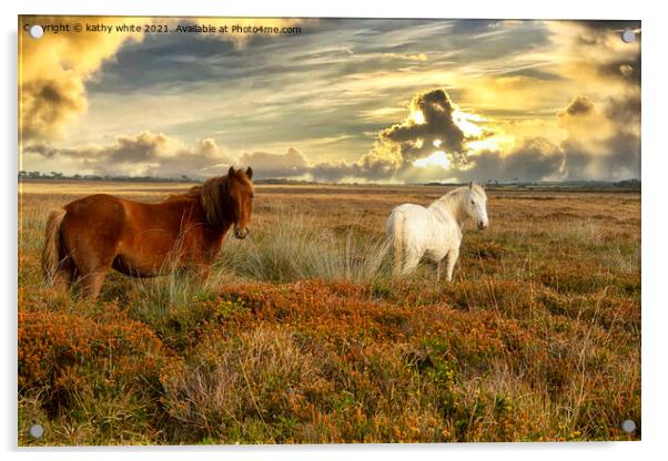 sunset,grazing ponies Acrylic by kathy white