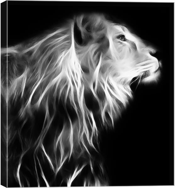 Posing Lion Canvas Print by Sam Smith