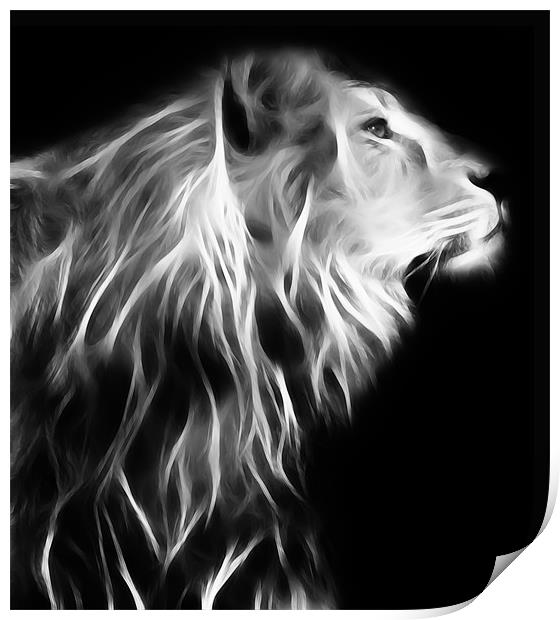 Posing Lion Print by Sam Smith