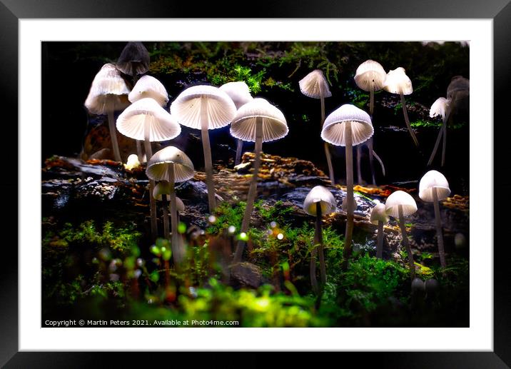 Enchanted Mushroom Kingdom Framed Mounted Print by Martin Yiannoullou