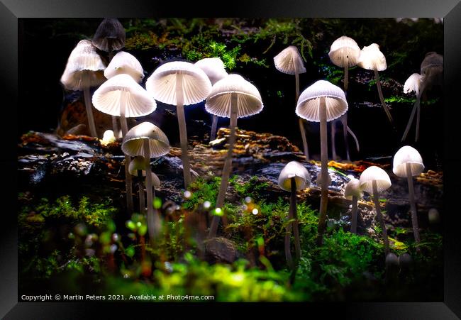 Enchanted Mushroom Kingdom Framed Print by Martin Yiannoullou