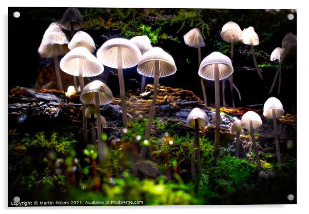 Enchanted Mushroom Kingdom Acrylic by Martin Yiannoullou