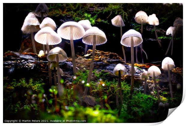 Enchanted Mushroom Kingdom Print by Martin Yiannoullou