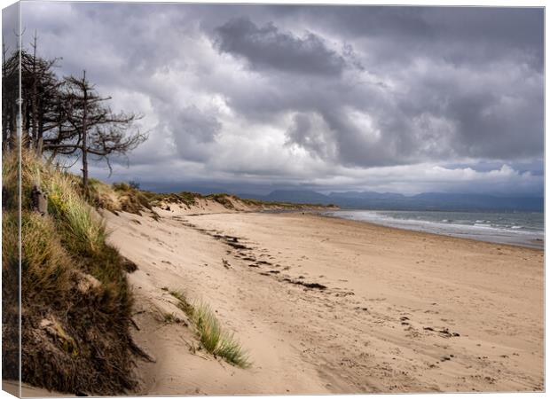 Newborough Beach. Anglesey, Wales Canvas Print by Colin Allen