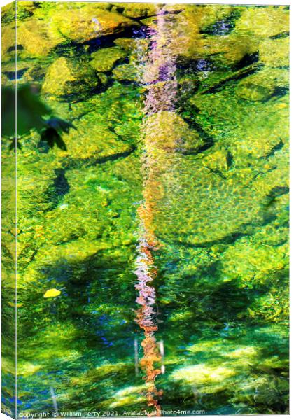 Summer Colors Reflection Abstract Wenatchee River Valley Washing Canvas Print by William Perry