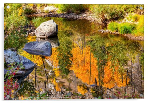 Fall Colors Fire Reflection Wenatchee River Valley Washington Acrylic by William Perry